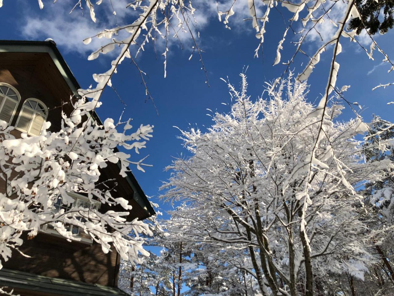 Pension Razteca Hakuba Bagian luar foto
